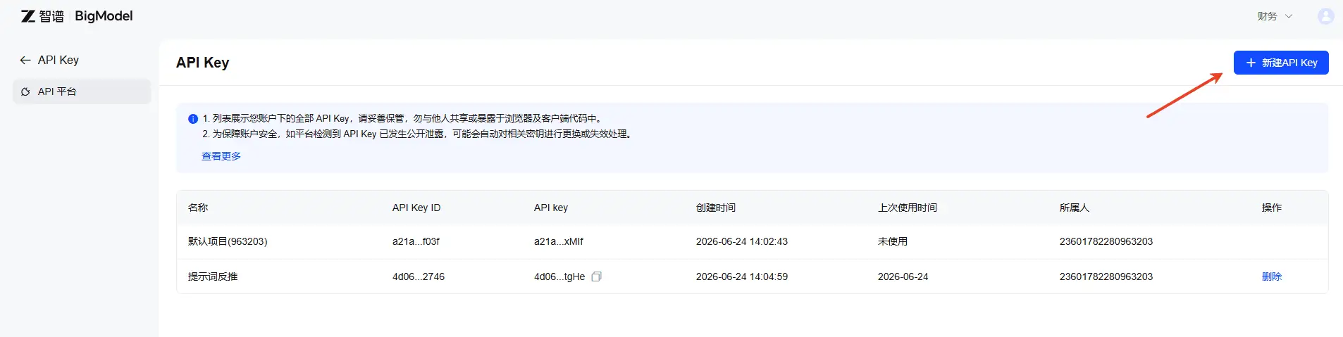Página de API Keys